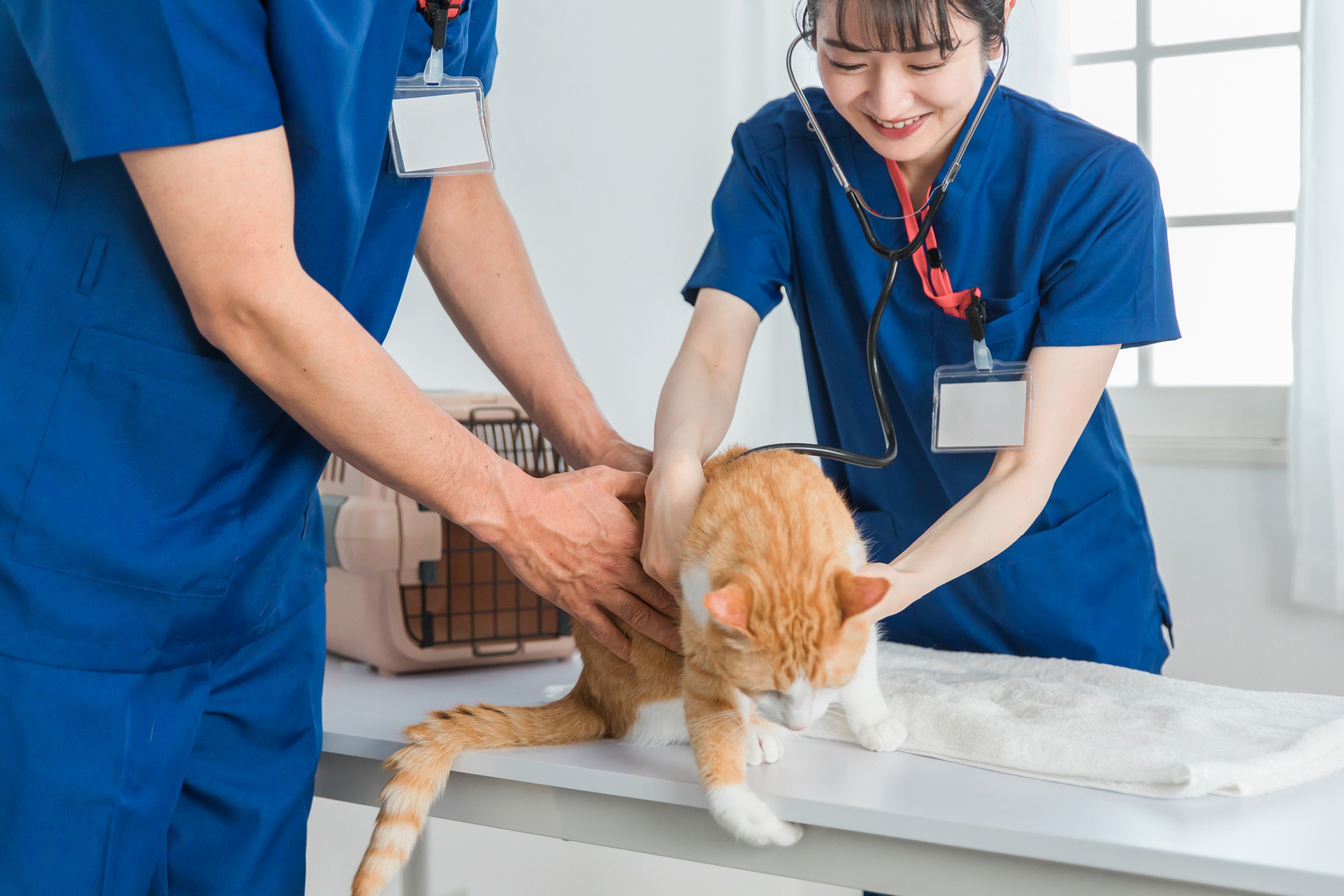 動物が好きな方、一緒に働きませんか。