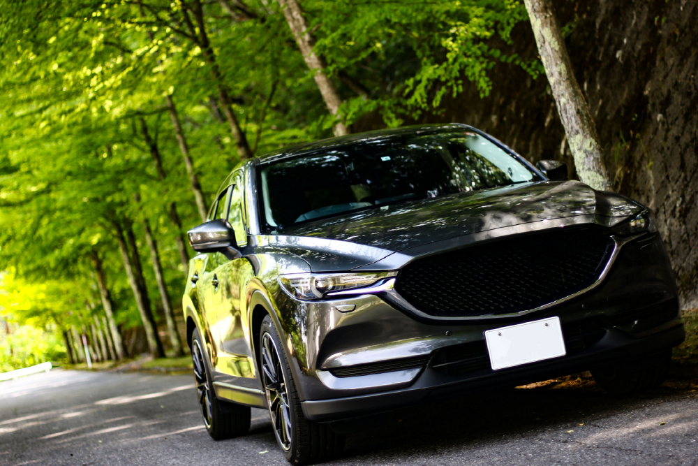 新車種入荷のお知らせ